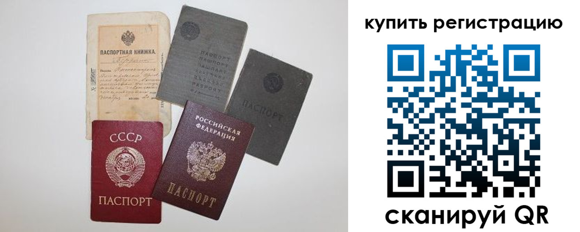 прописка гарантия в Апатитах